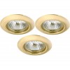 ������������ ���������� Arte lamp Praktisch A1203PL-3GO